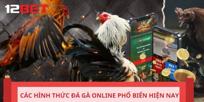 Các hình thức đá gà online phổ biến nhất hiện nay