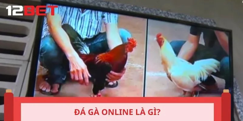 Đá gà online là gì?