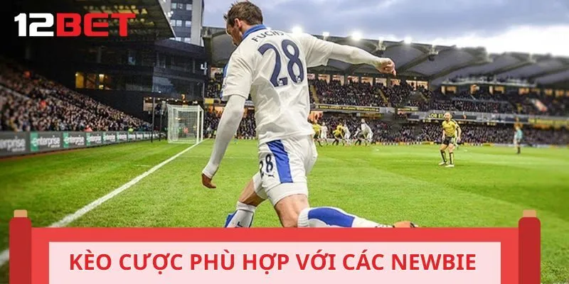 Kèo cược phù hợp với các newbie