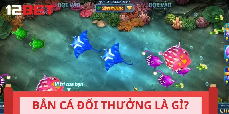 Khái niệm chính xác về bắn cá đổi thưởng