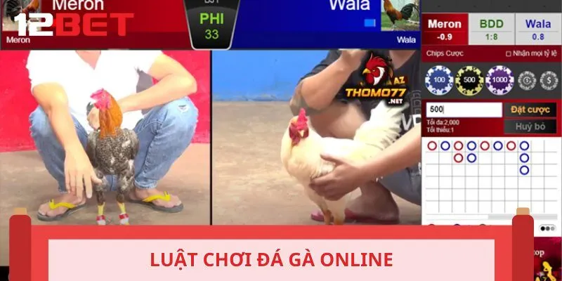 Luật chơi đá gà online